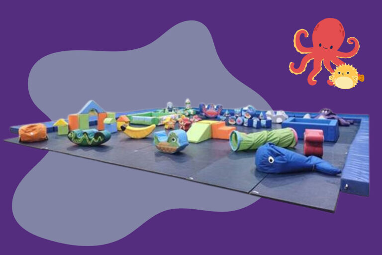 soft play party